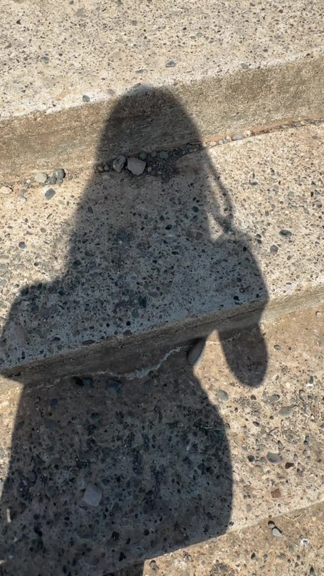 @GENSILA