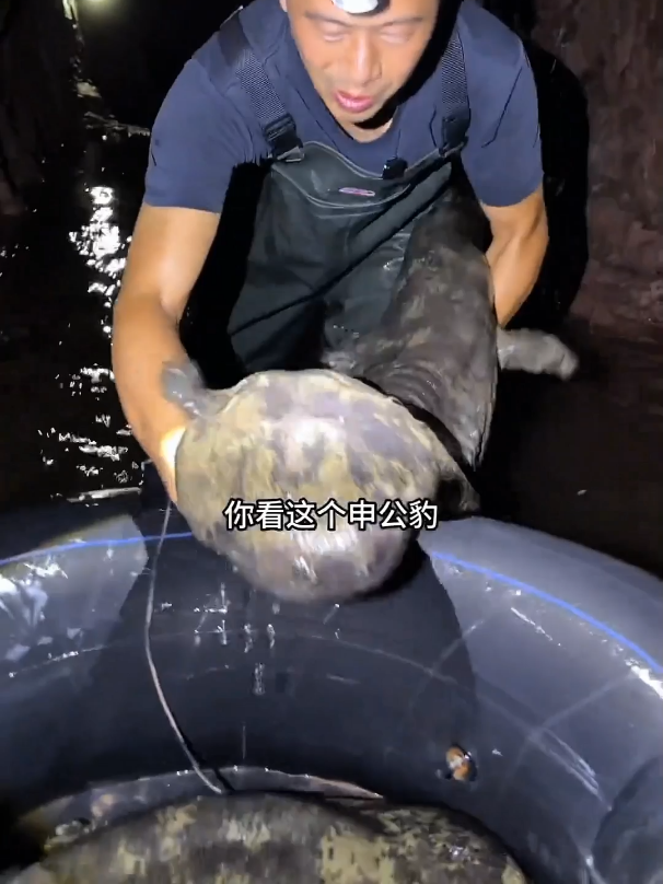 @Monsterfishkeeper