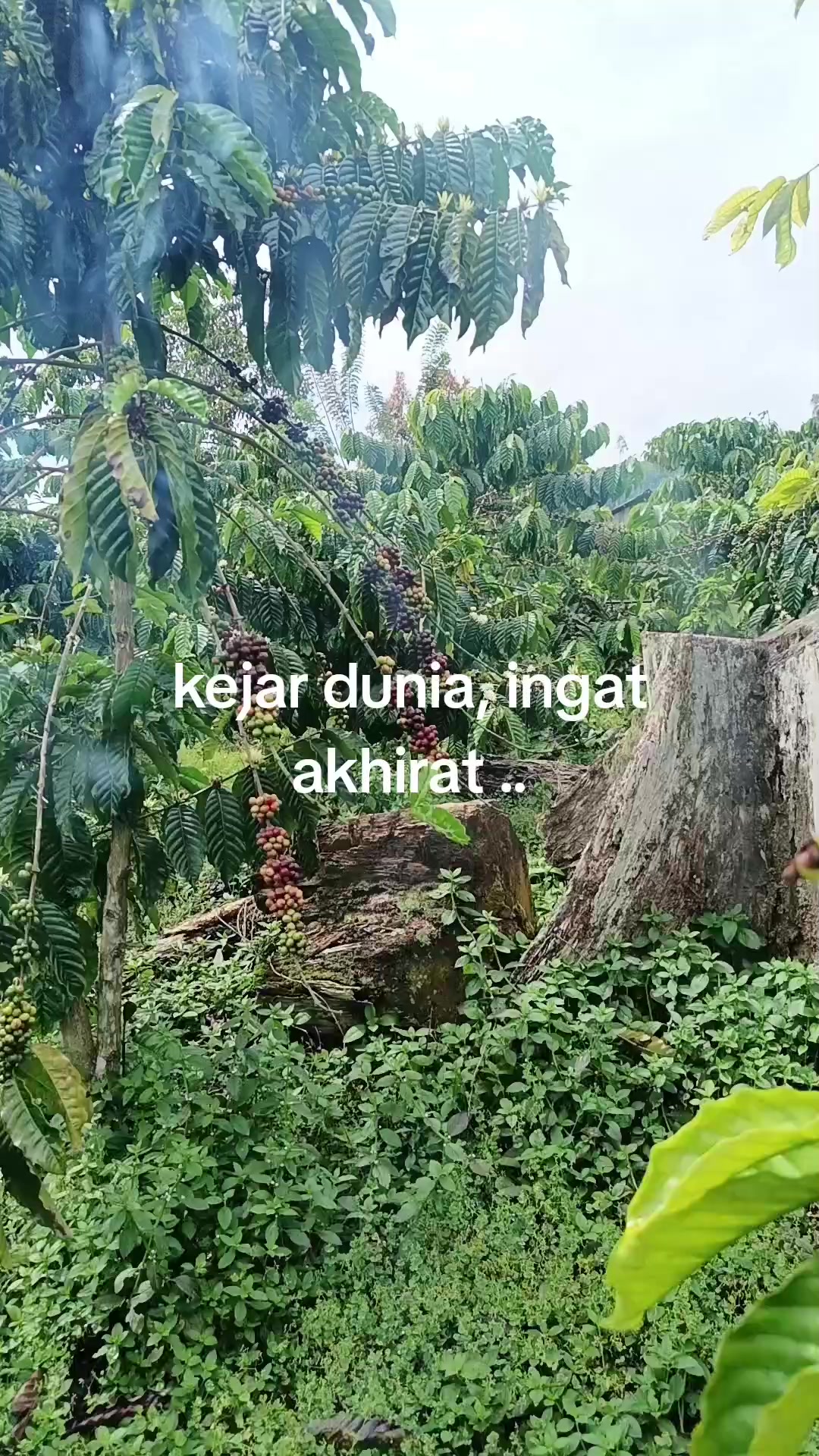 @punya cerita..