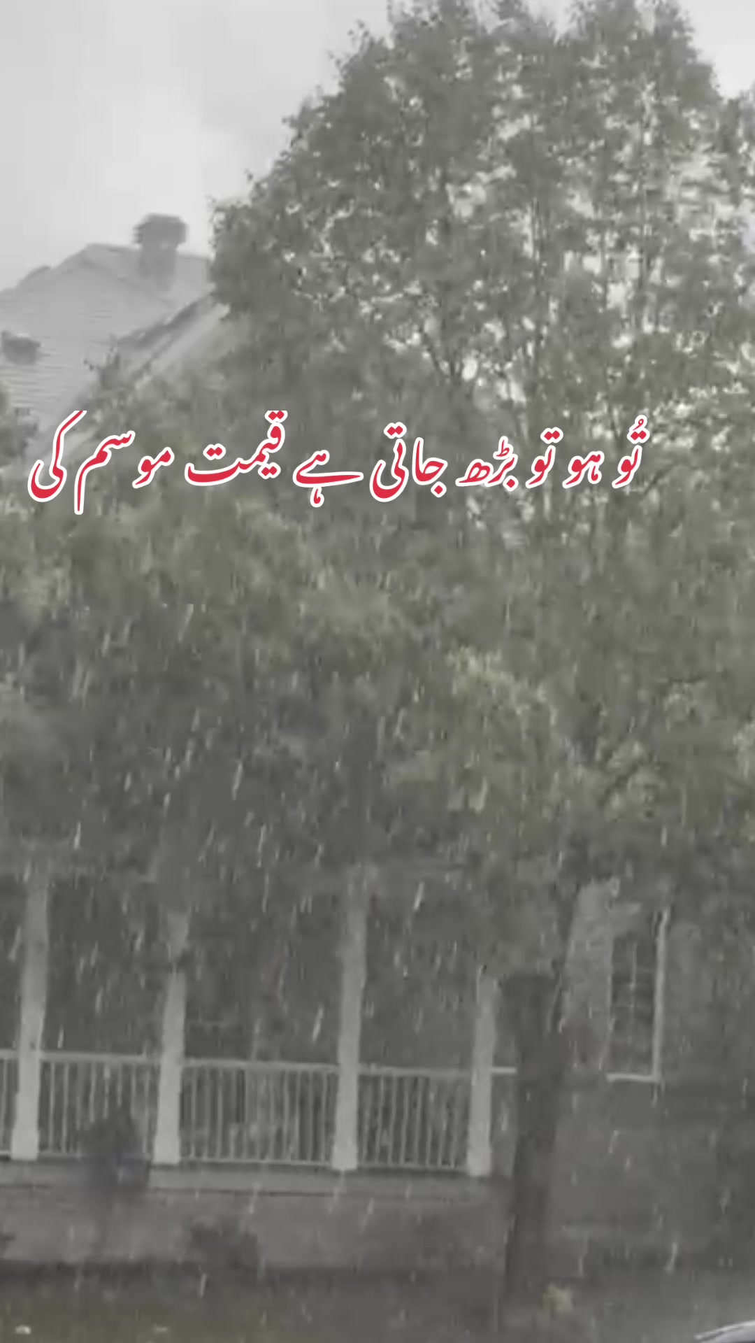 @T.Akhtar Official