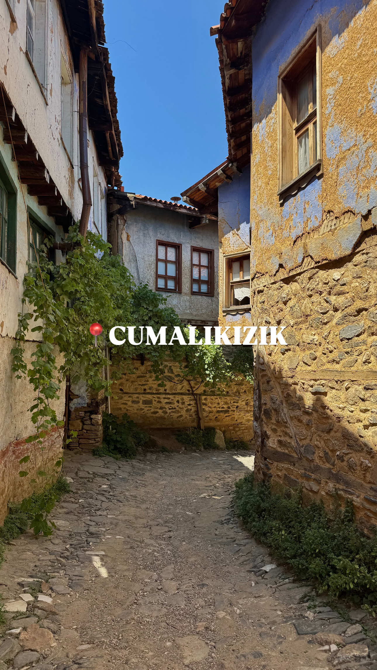 @gezgin