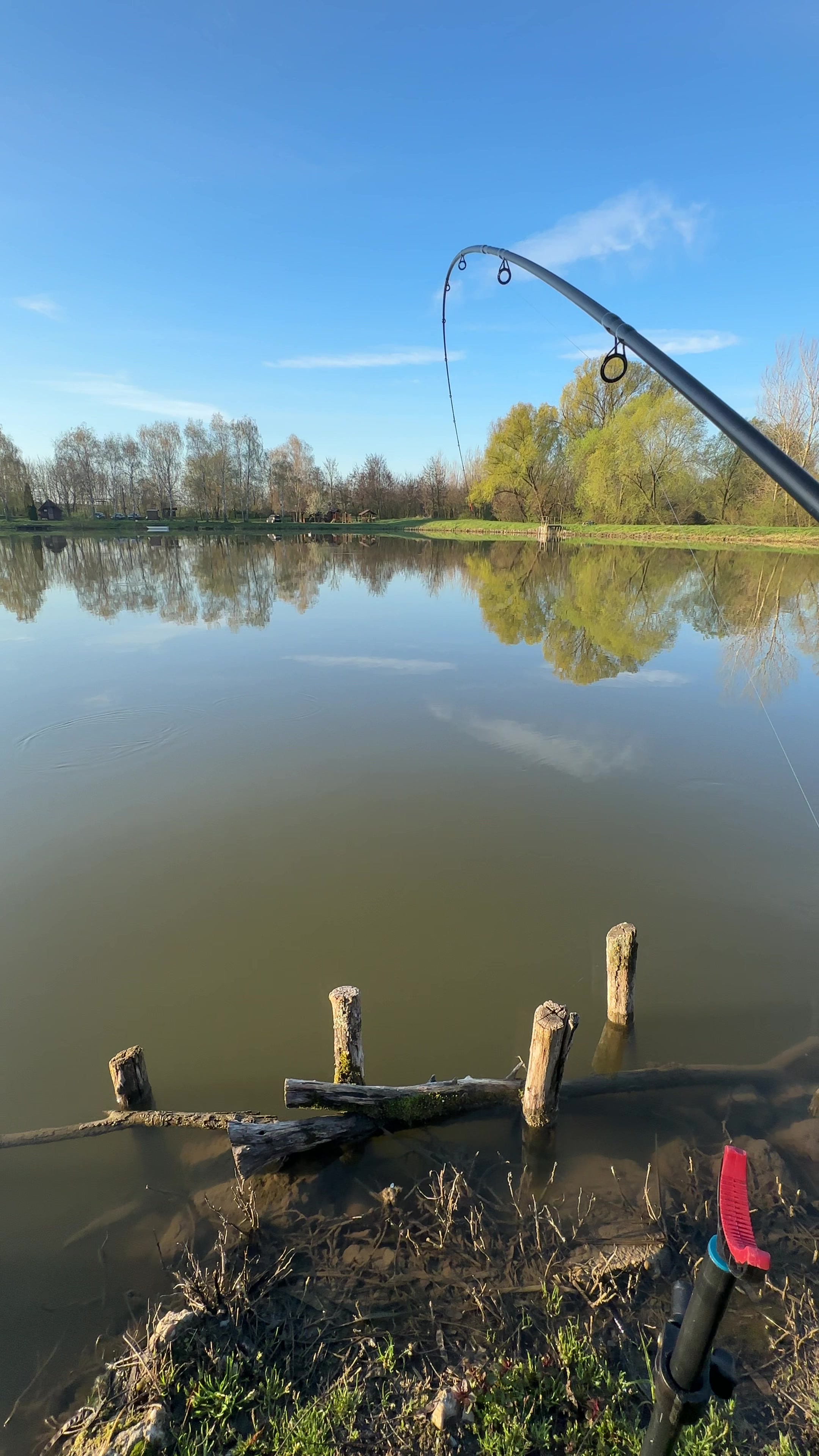 @🇭🇺CarpHunter🎣D&eacute;nes🇭🇺