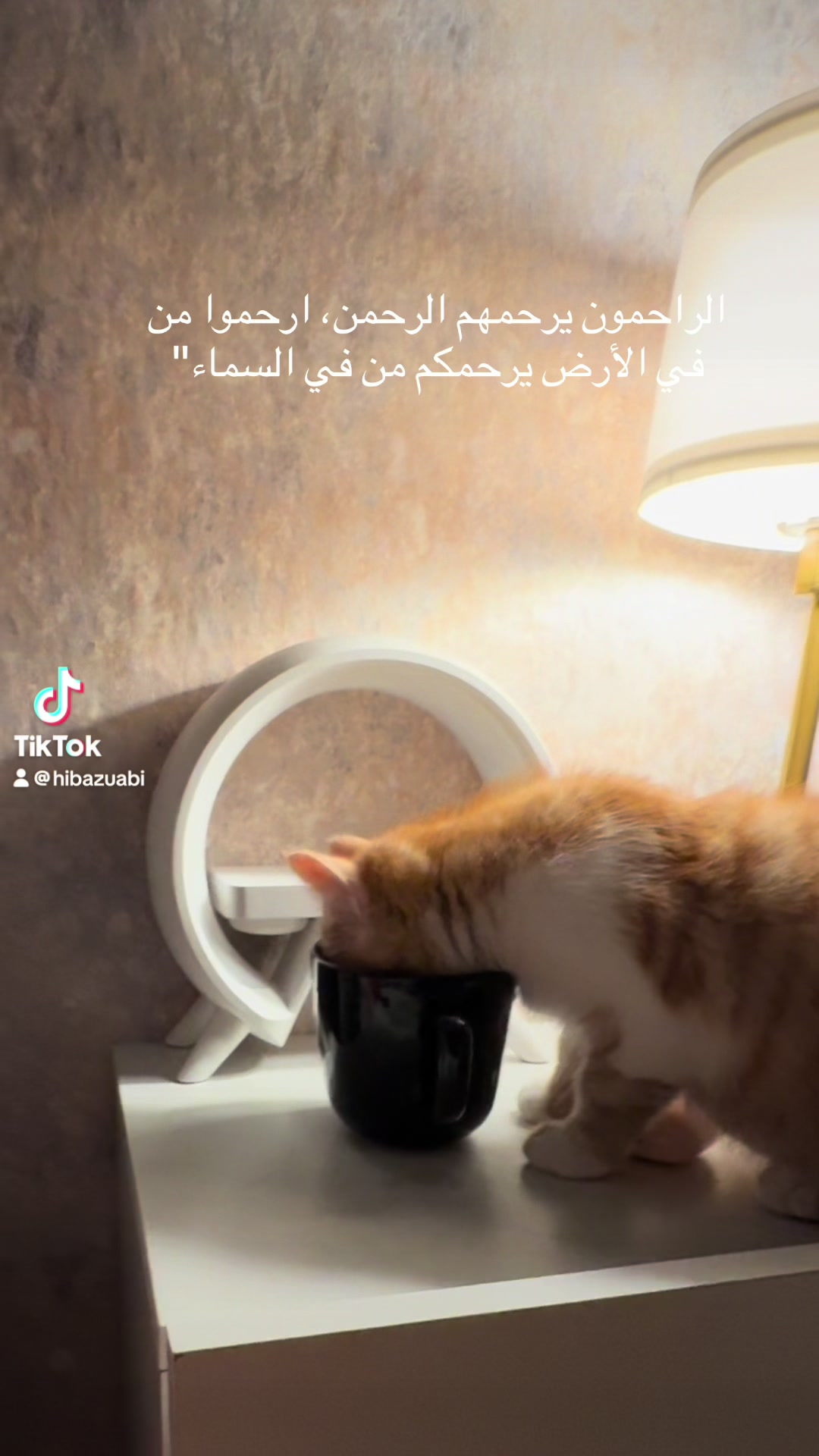 @HibaZuabi