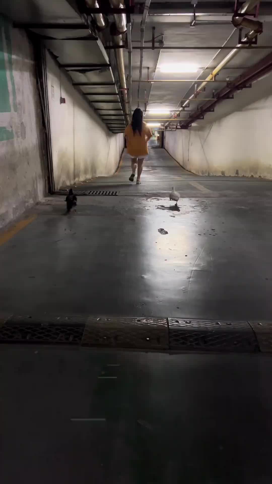 @影视剧无霸