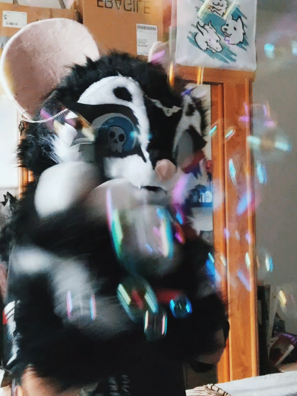 @Shysako.Fur