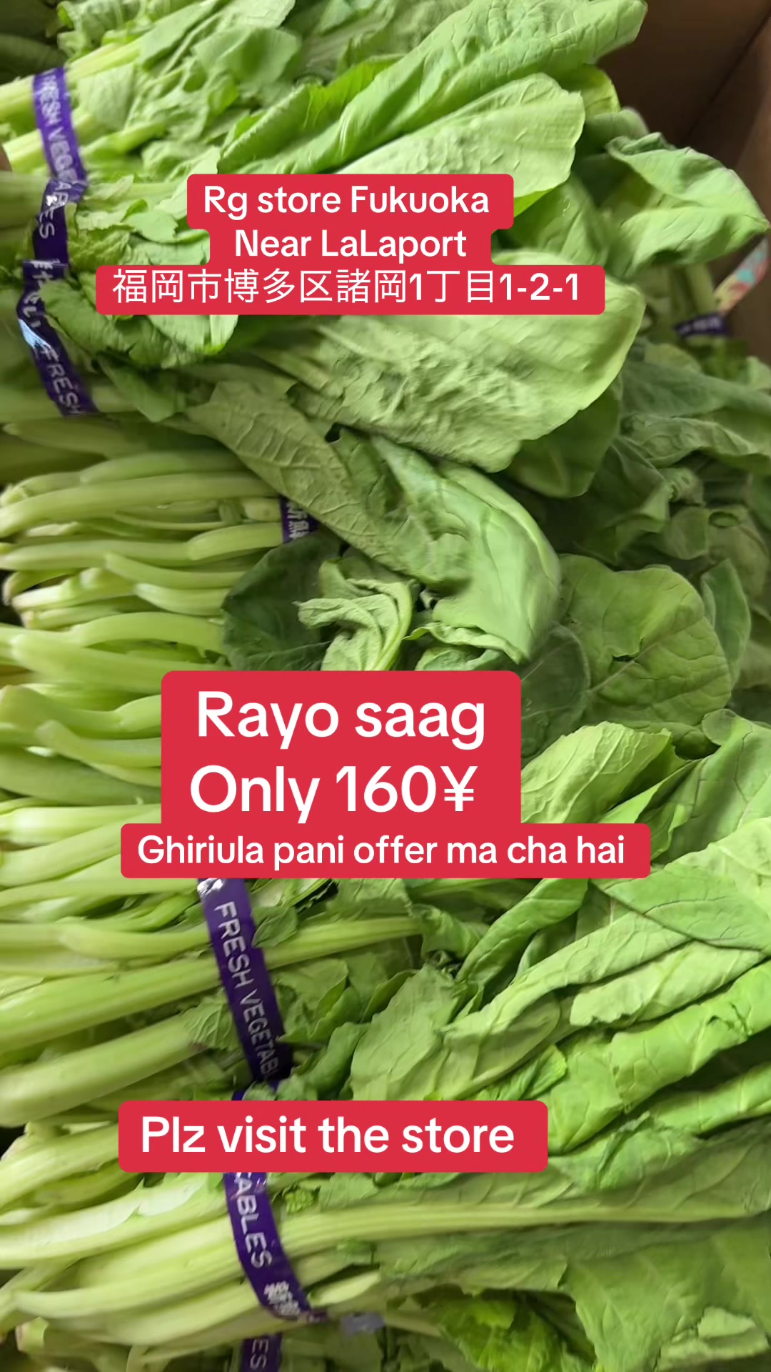 @RG Store Fukuoka LaLaport 🧿