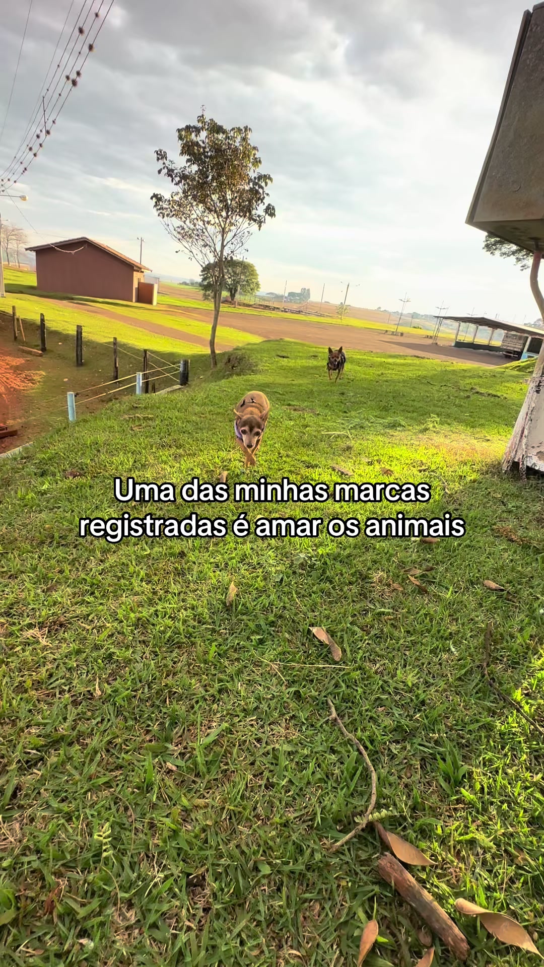 @Luisa Saito