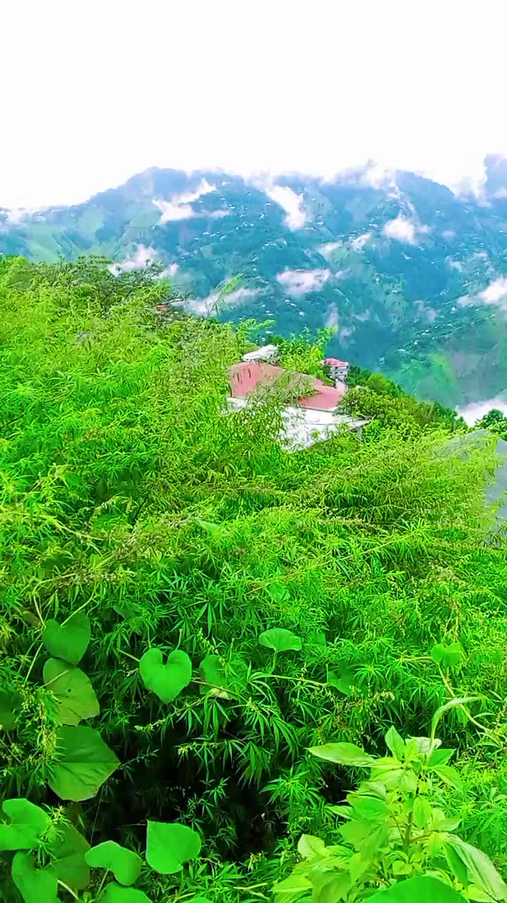 @SabaAbbasi