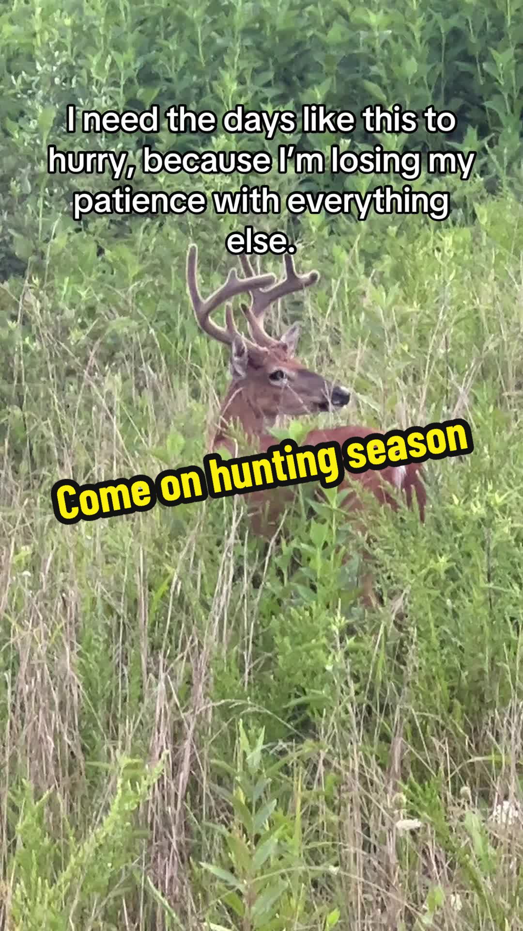 @Josh And Hunter’s Adventures