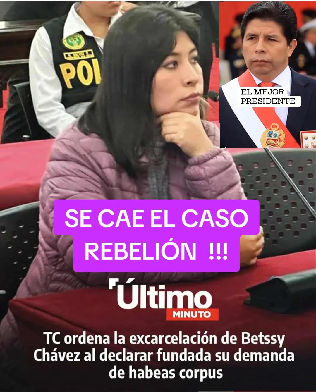@Amaz&oacute;nica