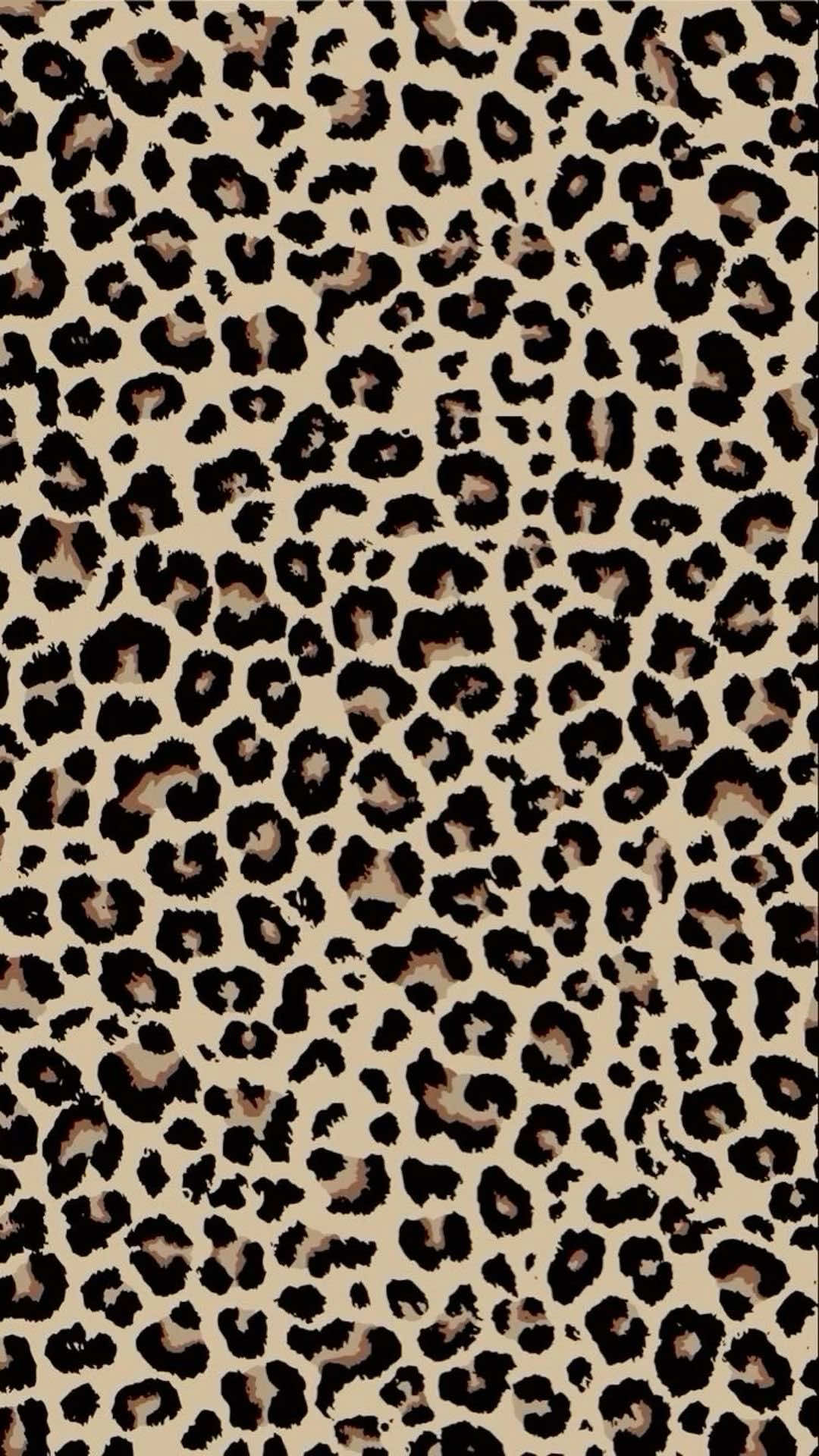 @𝐌𝐢𝐚