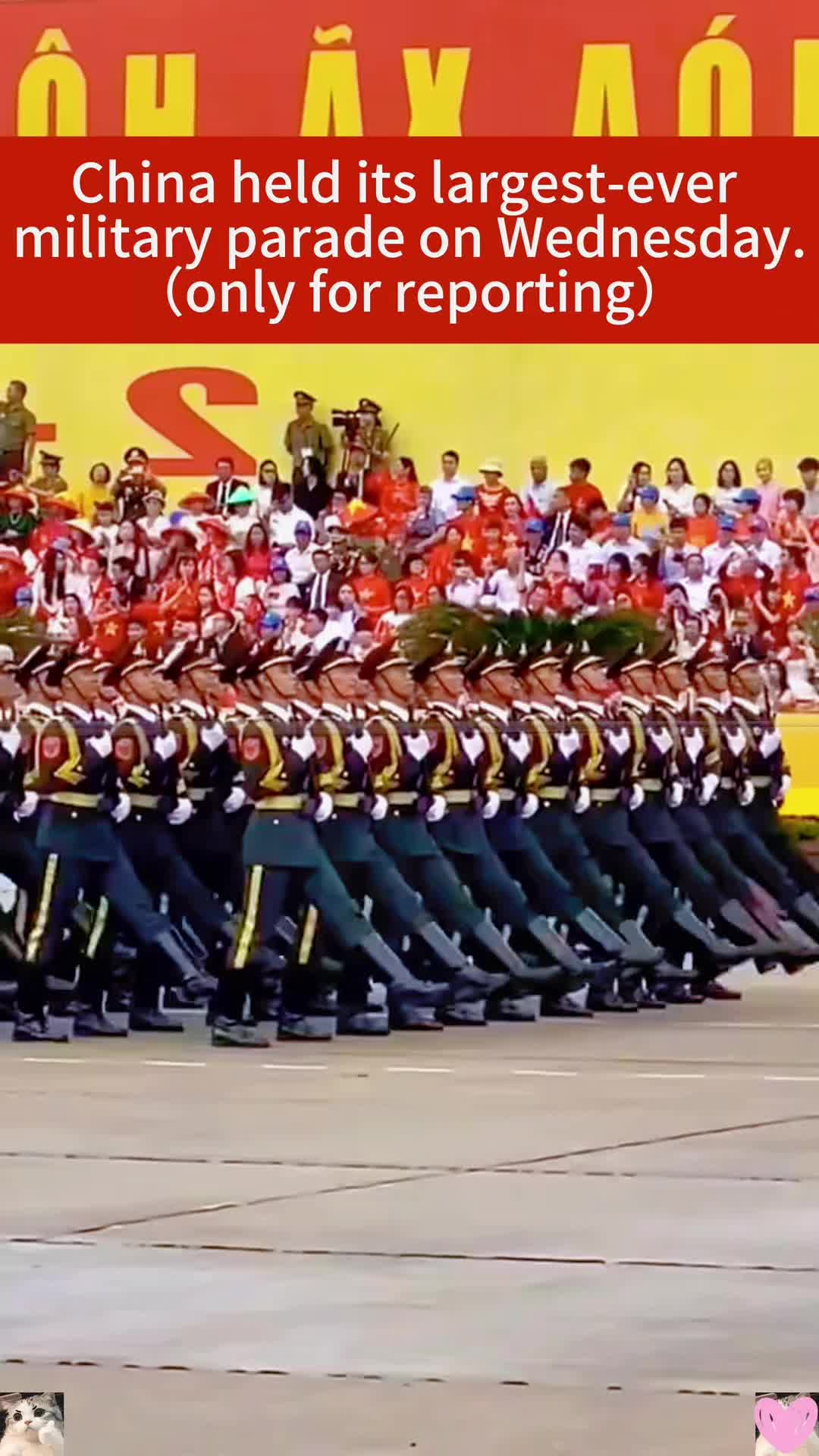 @ljzmswhpy