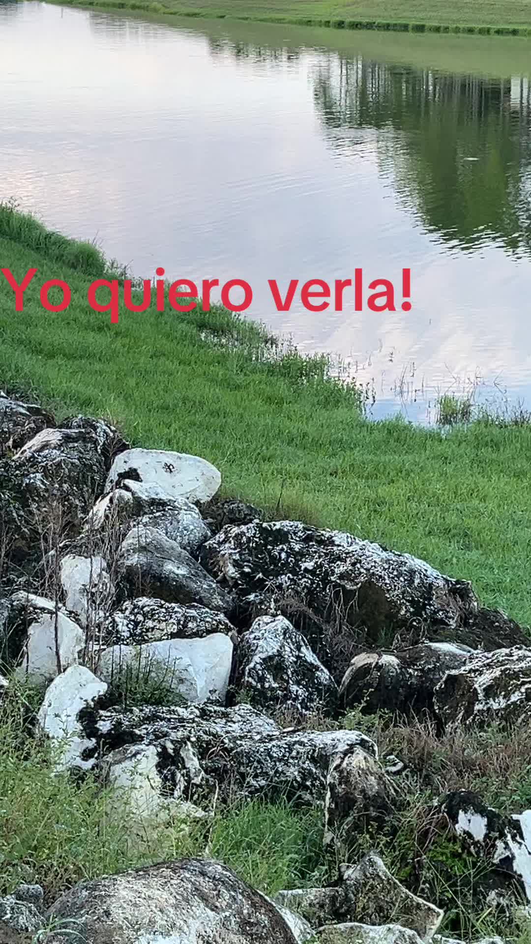 @masterzapata7dan