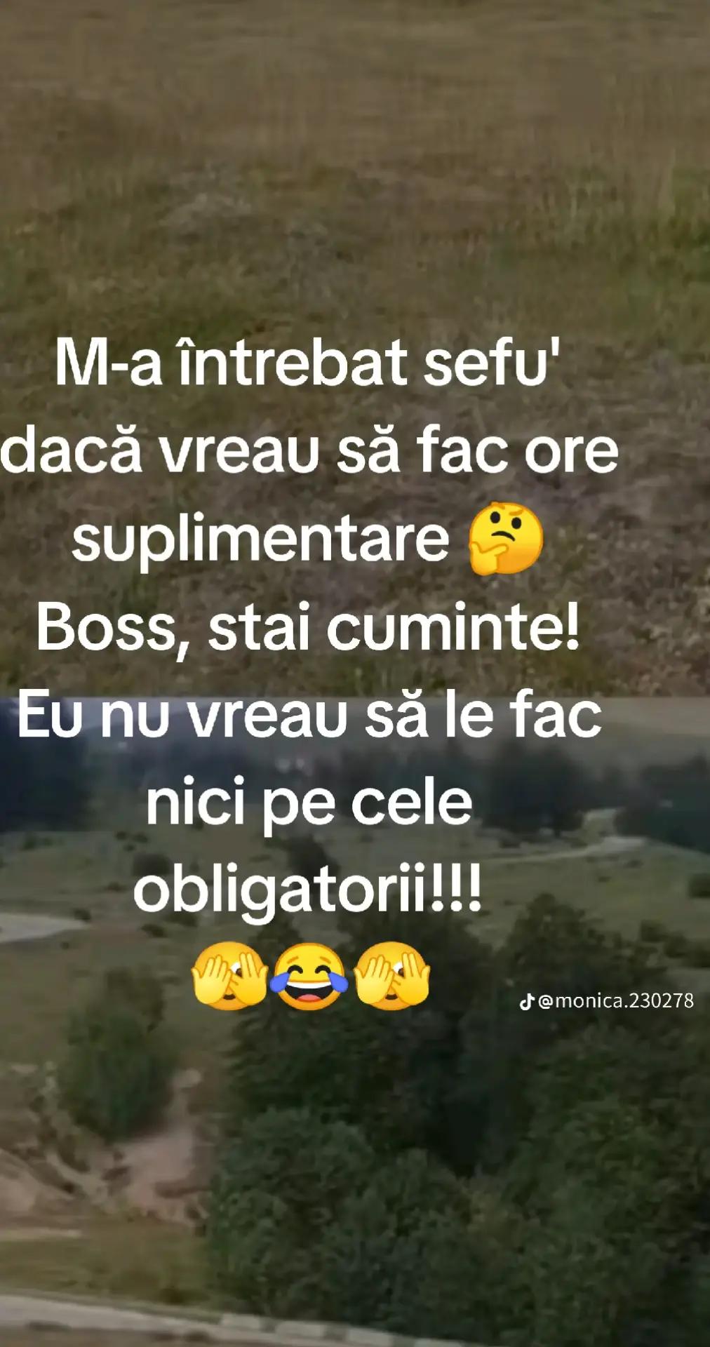 @Crina-Stefania🦂