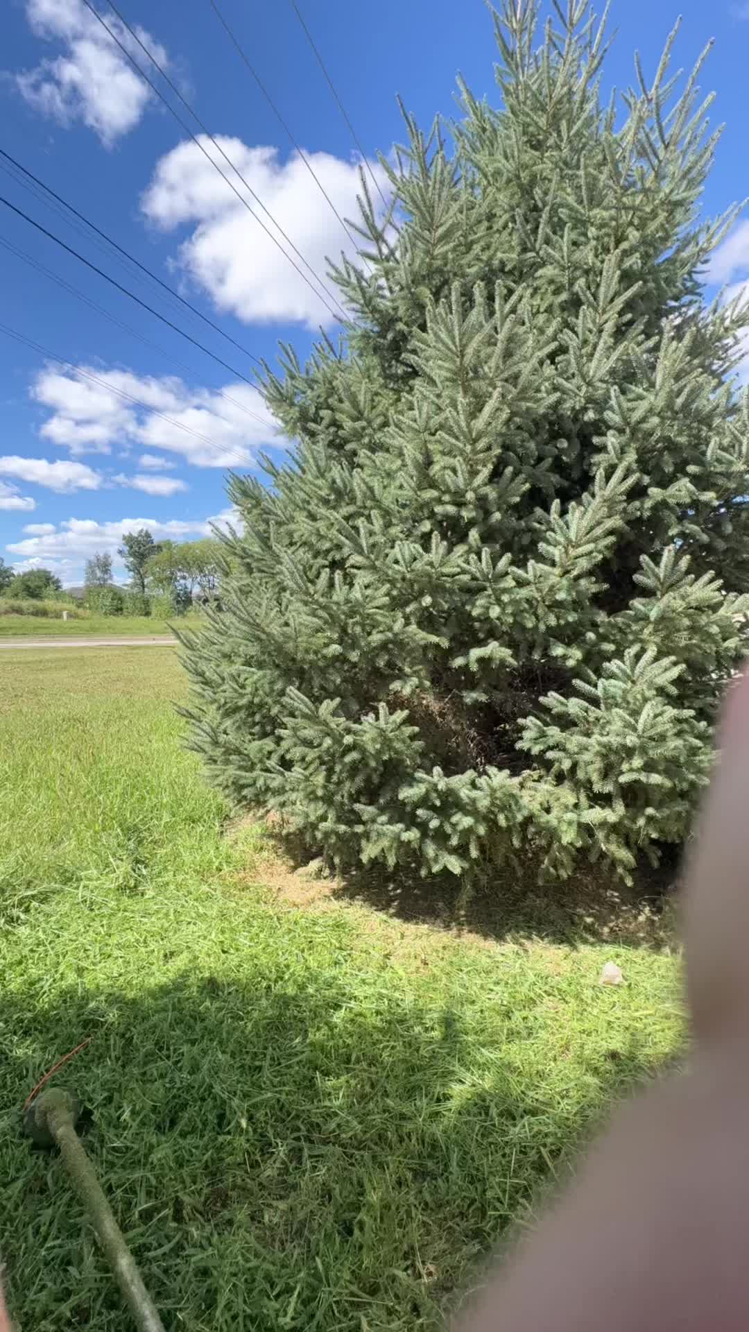 @Sleepy 5.3