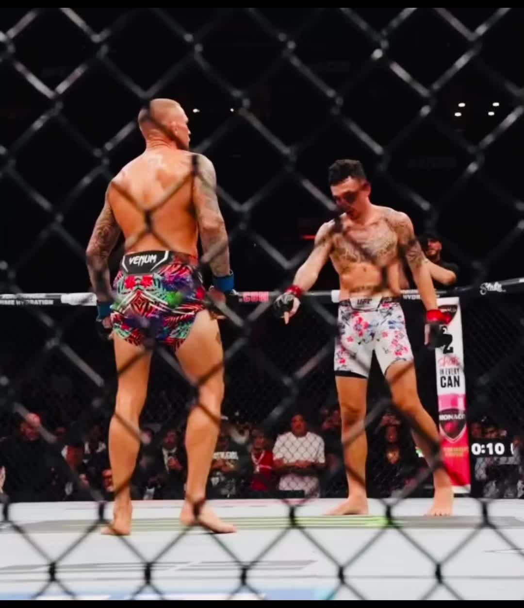 @Topmma Clip✅