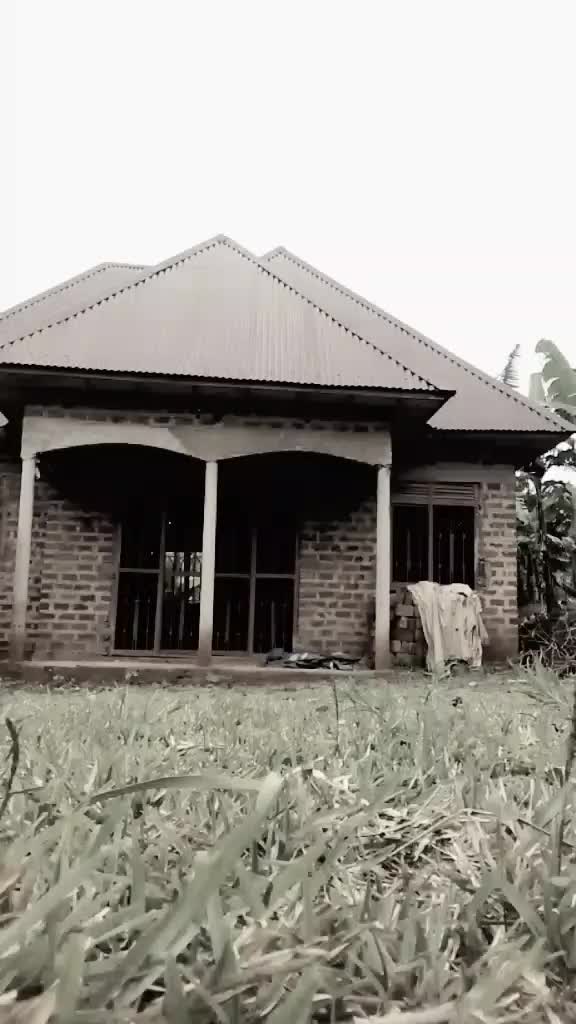 @JOE 256