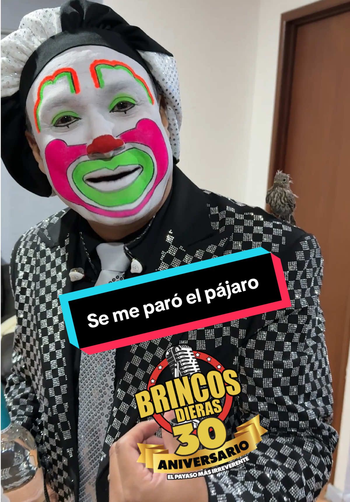 @🤡🇲🇽Brincos Dieras🇺🇸🤡