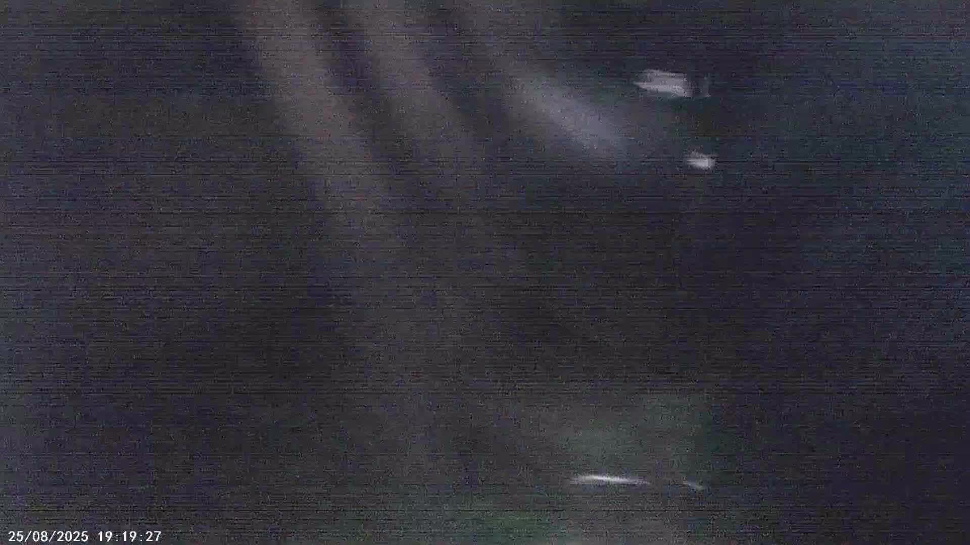 @SᗩᗰᗩᖇSKᑌY