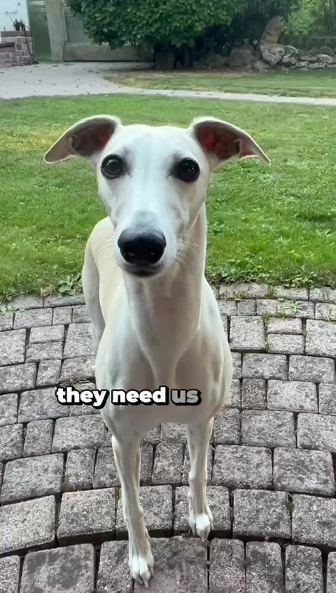 @Paula