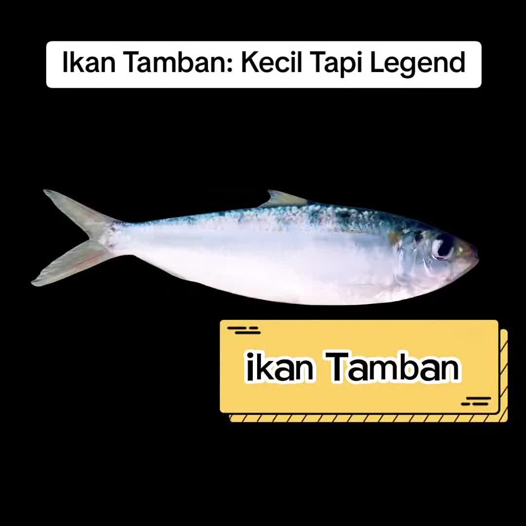 @Kasturi