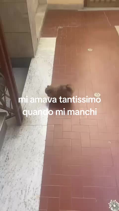 @Assuntacastellano1