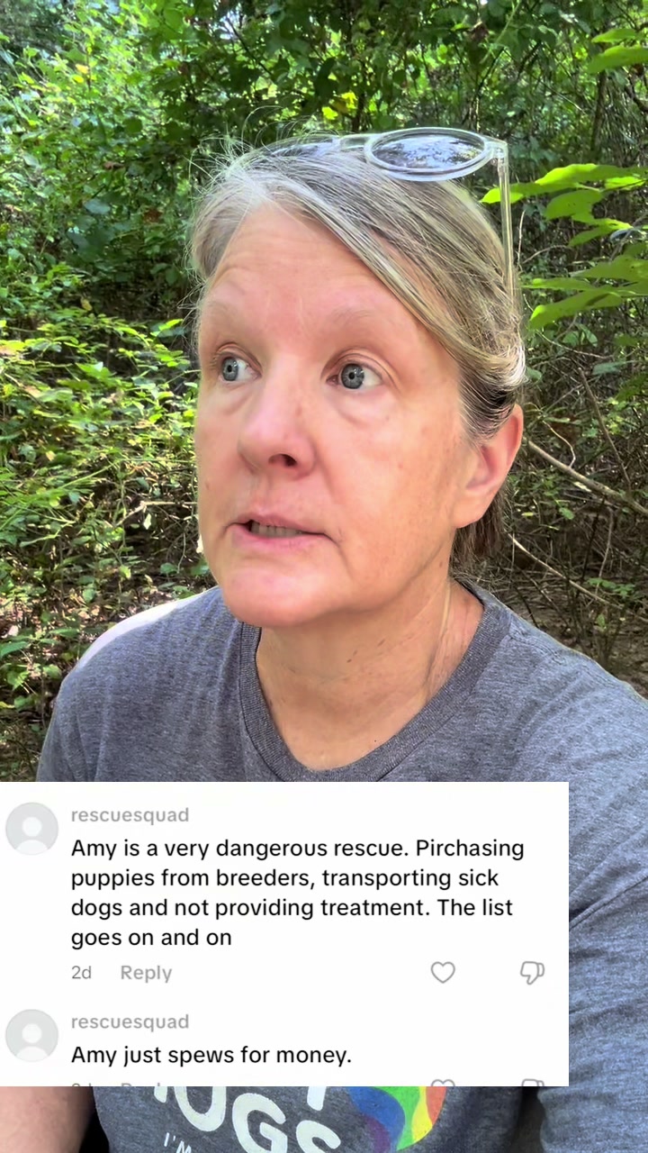 @amymaurercreel