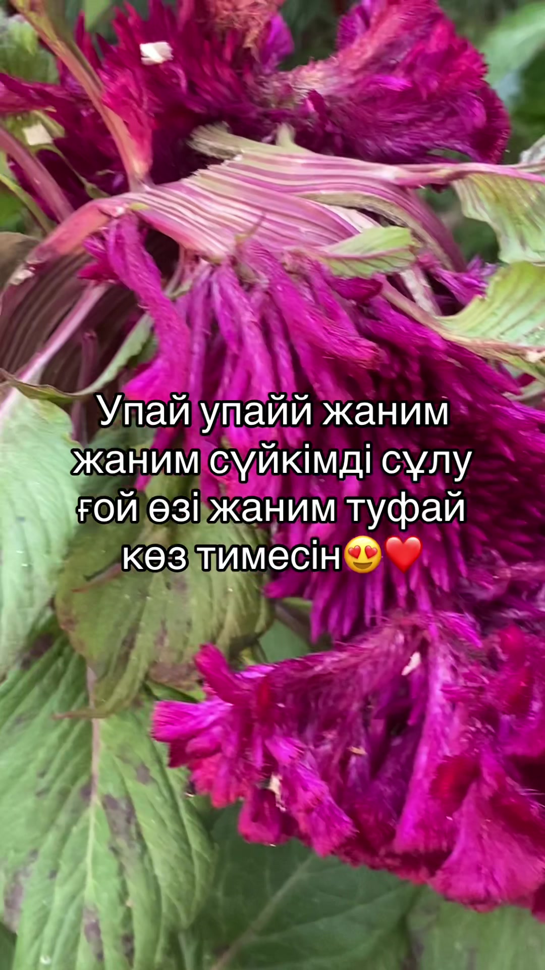 @🇰🇿_777_BAY_07