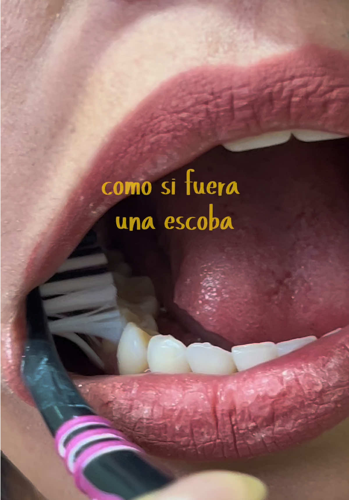 @pro.dental.od