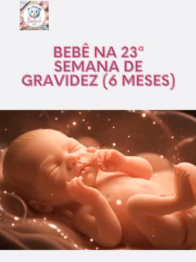 @Bebe360_