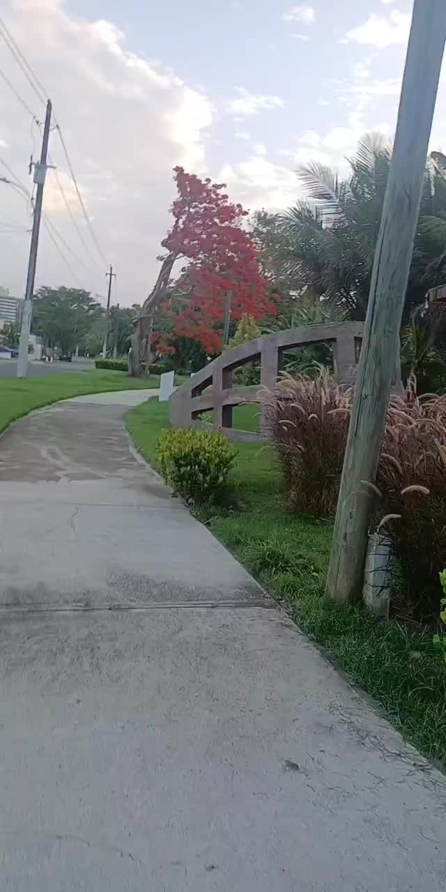 @Bez 🇵🇷