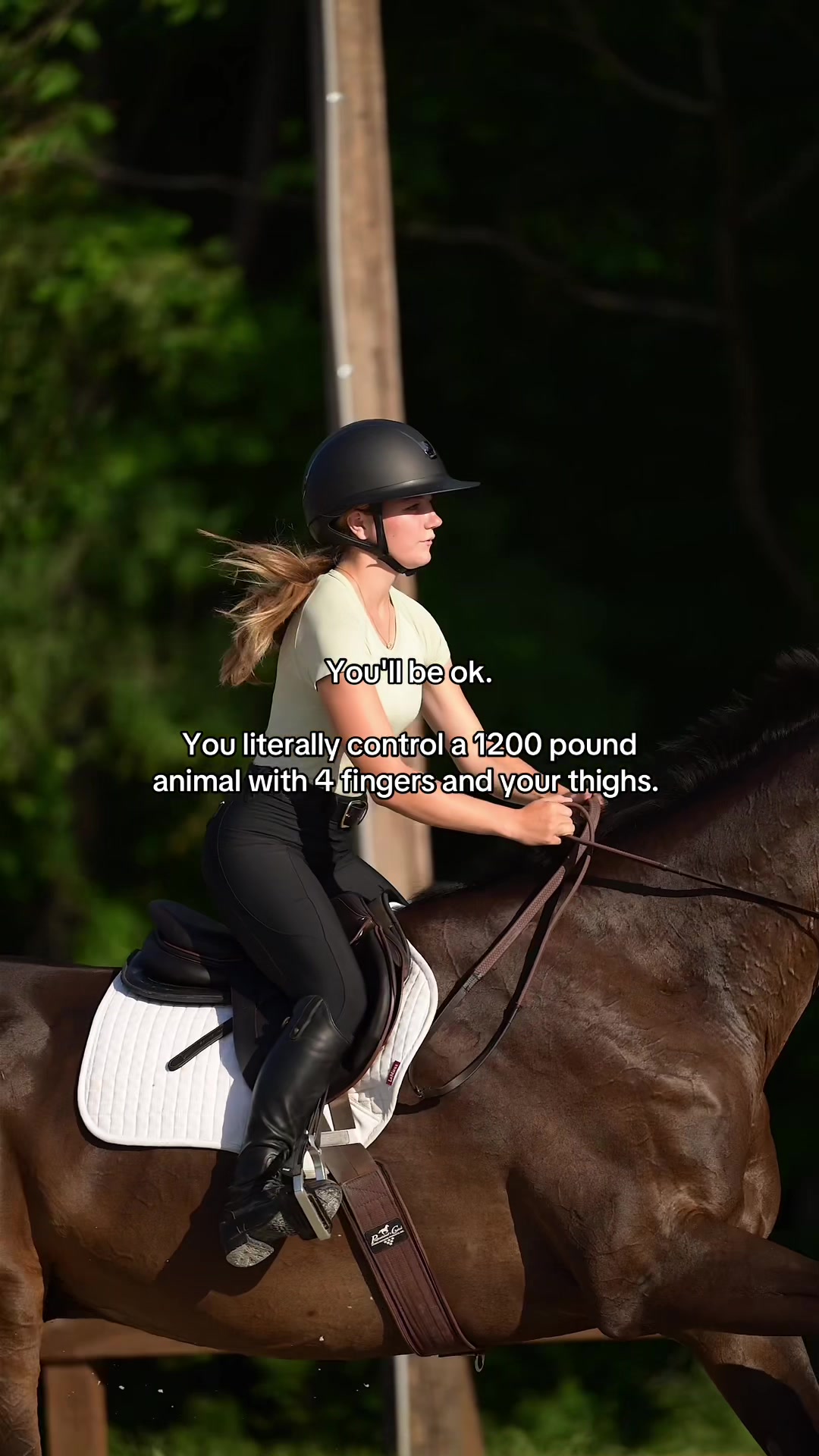 @Free Ride Equestrian