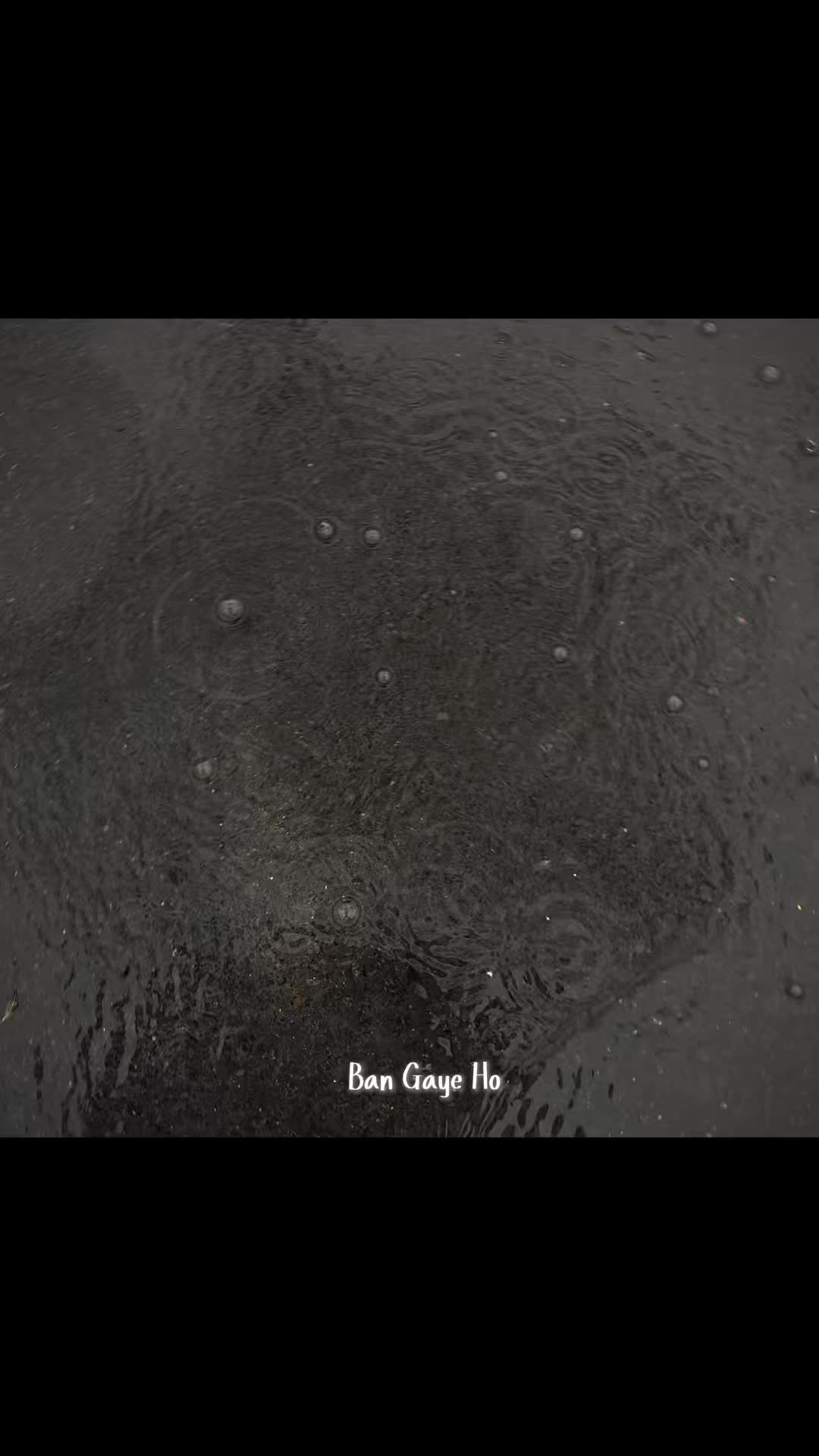 @𝐊𝐍𝐈𝐆𝐇𝐓