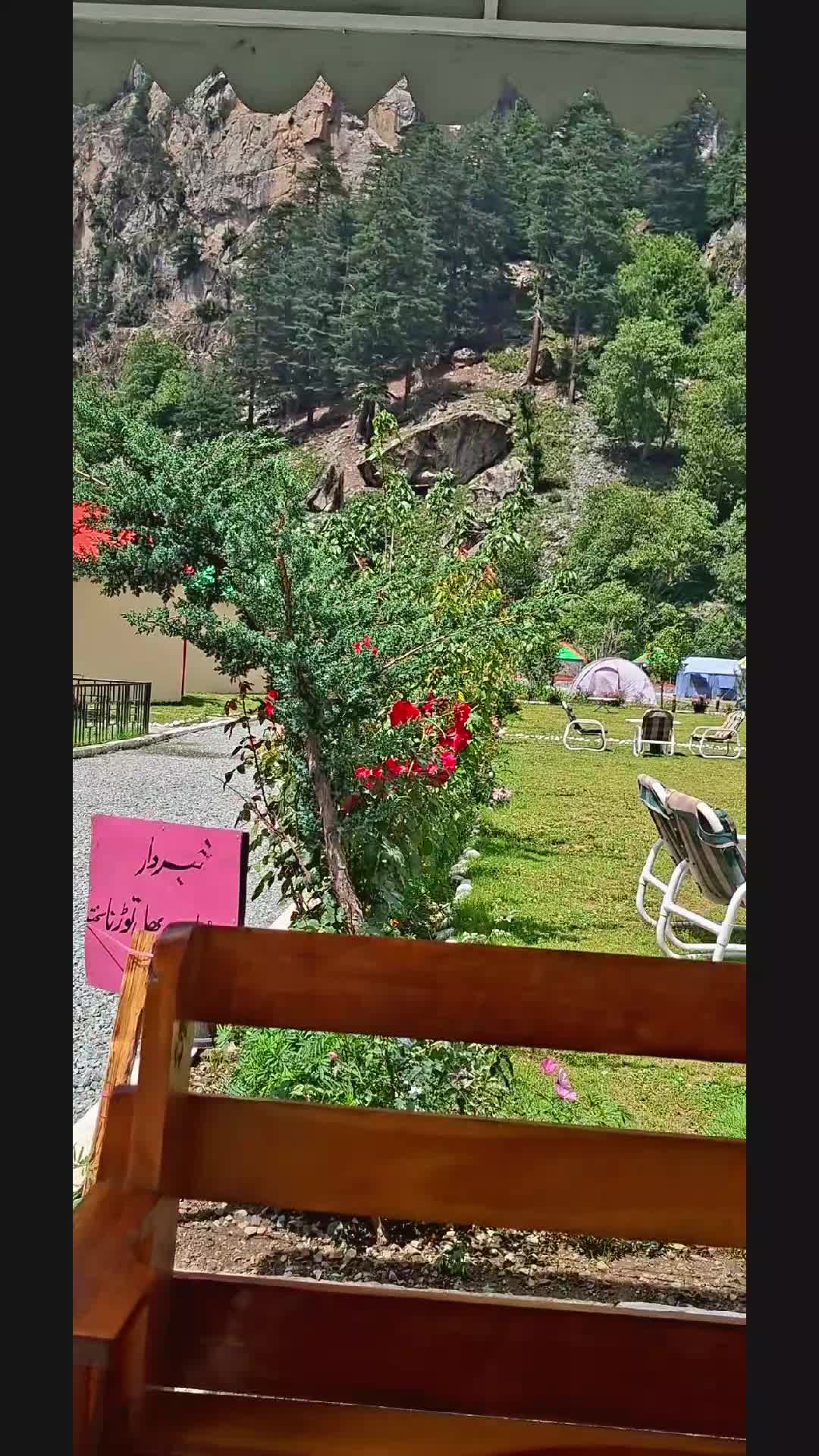 @walidzarakzai