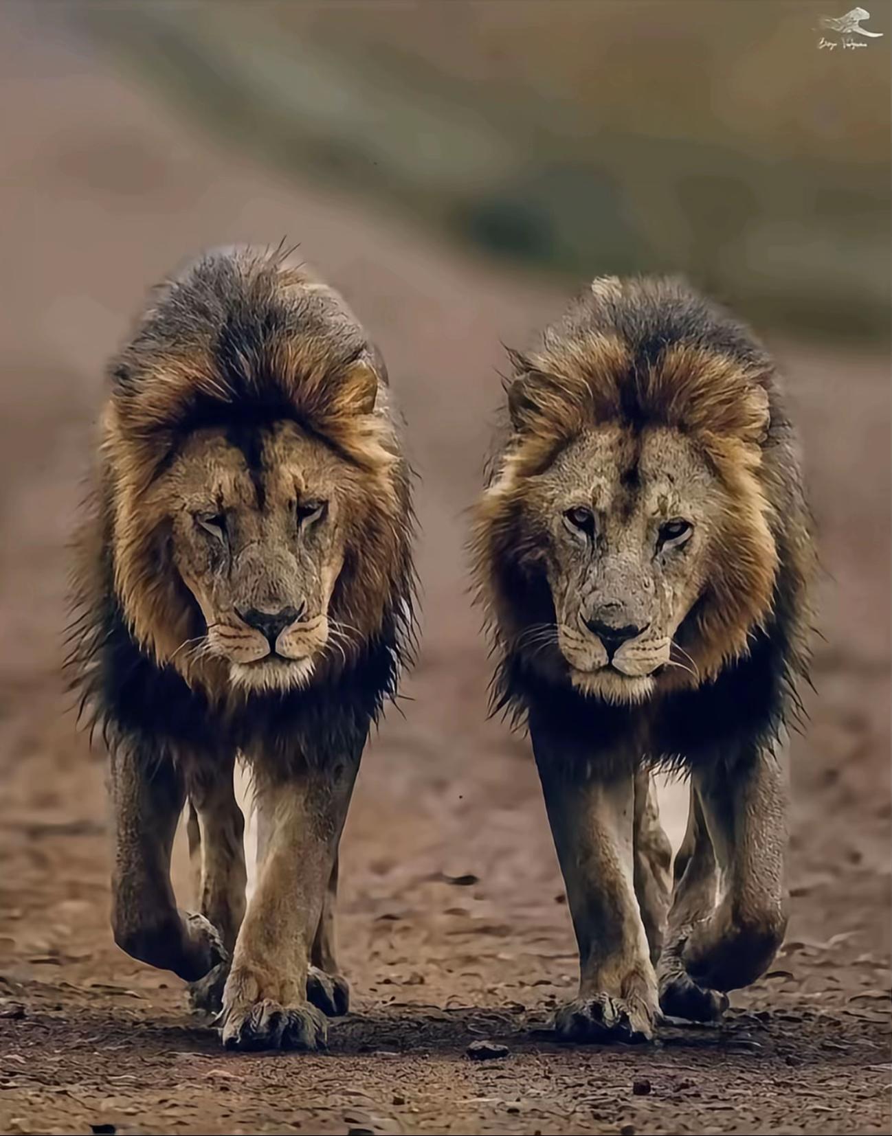 @Mohamed Bahnasy🩺🧑🏻&zwj;⚕️
