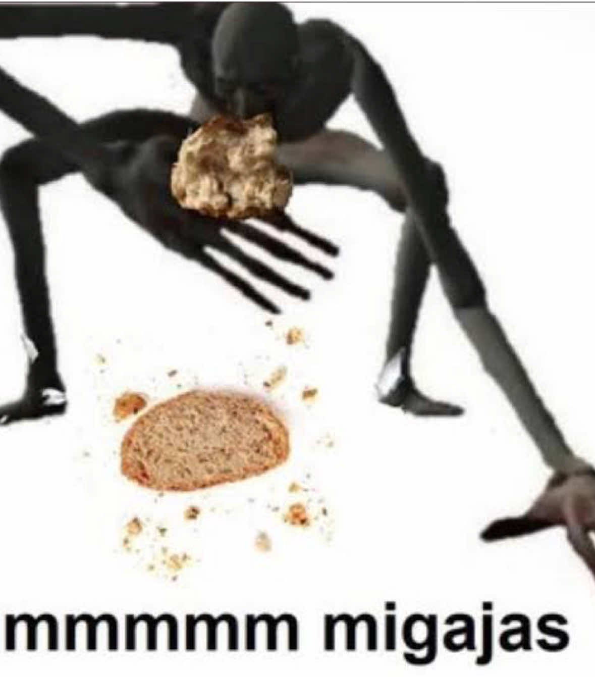 @arashi