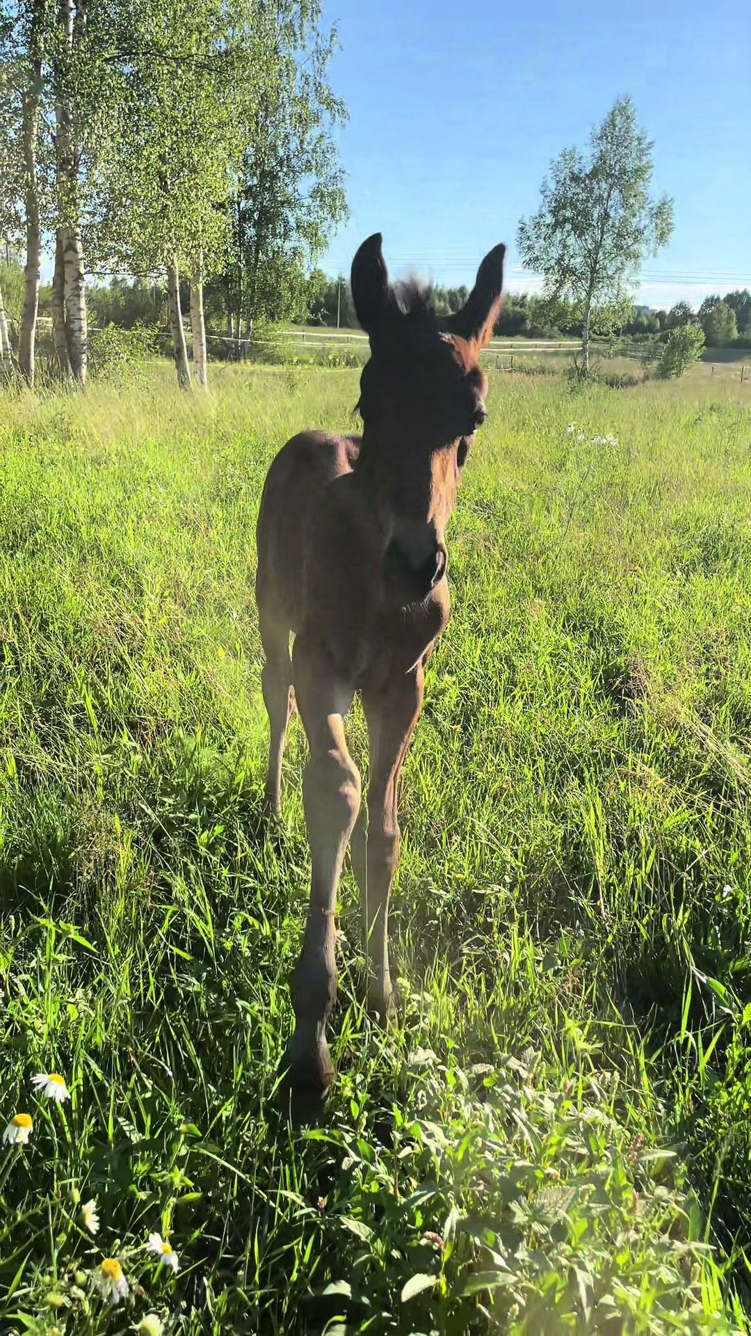 @Mansikkamäki Eventing