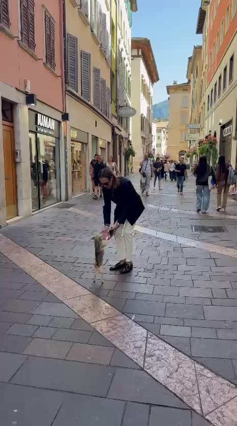 @PAOLO FALCIERI