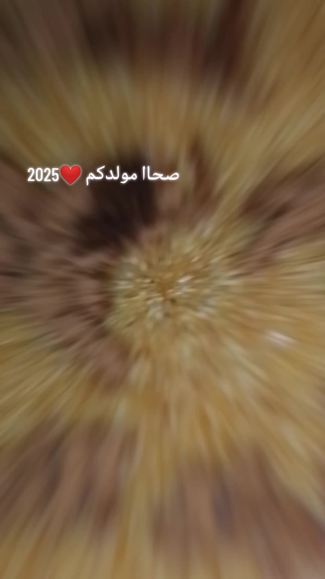 @🇹🇷yildiz(النجمه⭐)🇹🇷