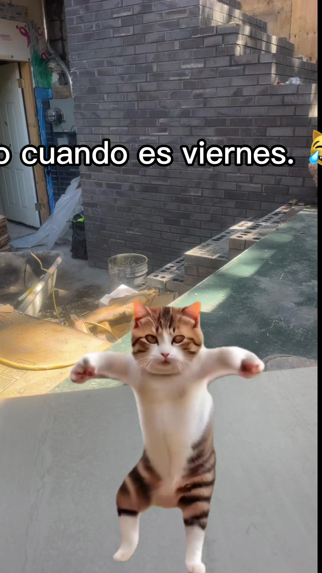 @central87