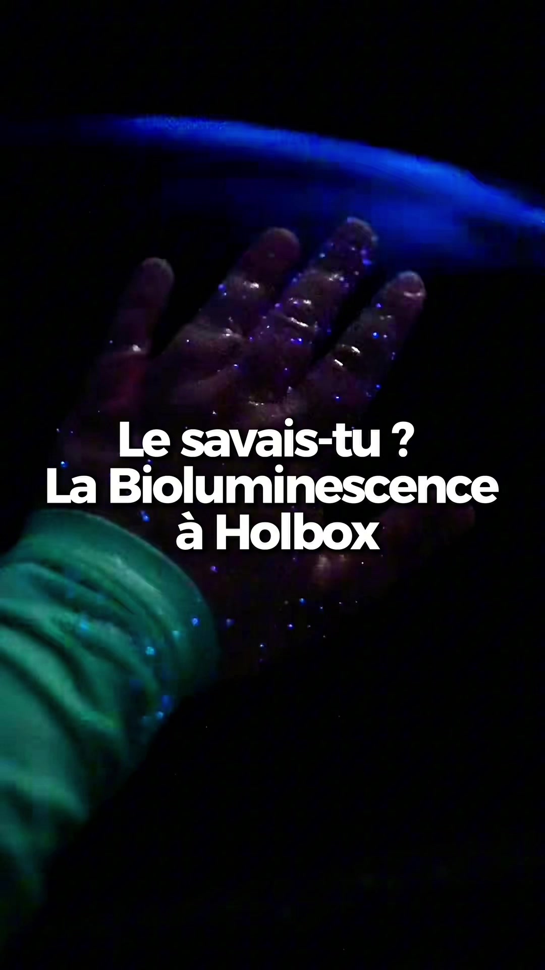 @xamanexperience