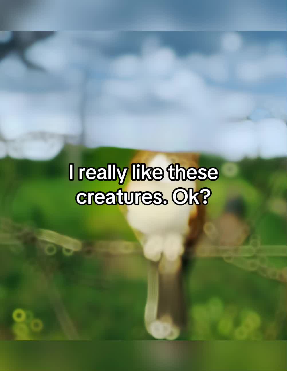 @𝙿𝚑𝚒𝚕𝚘𝚗𝚎𝚌𝚛𝚘𝚗 𐂯 .ᐟ⸝⸝
