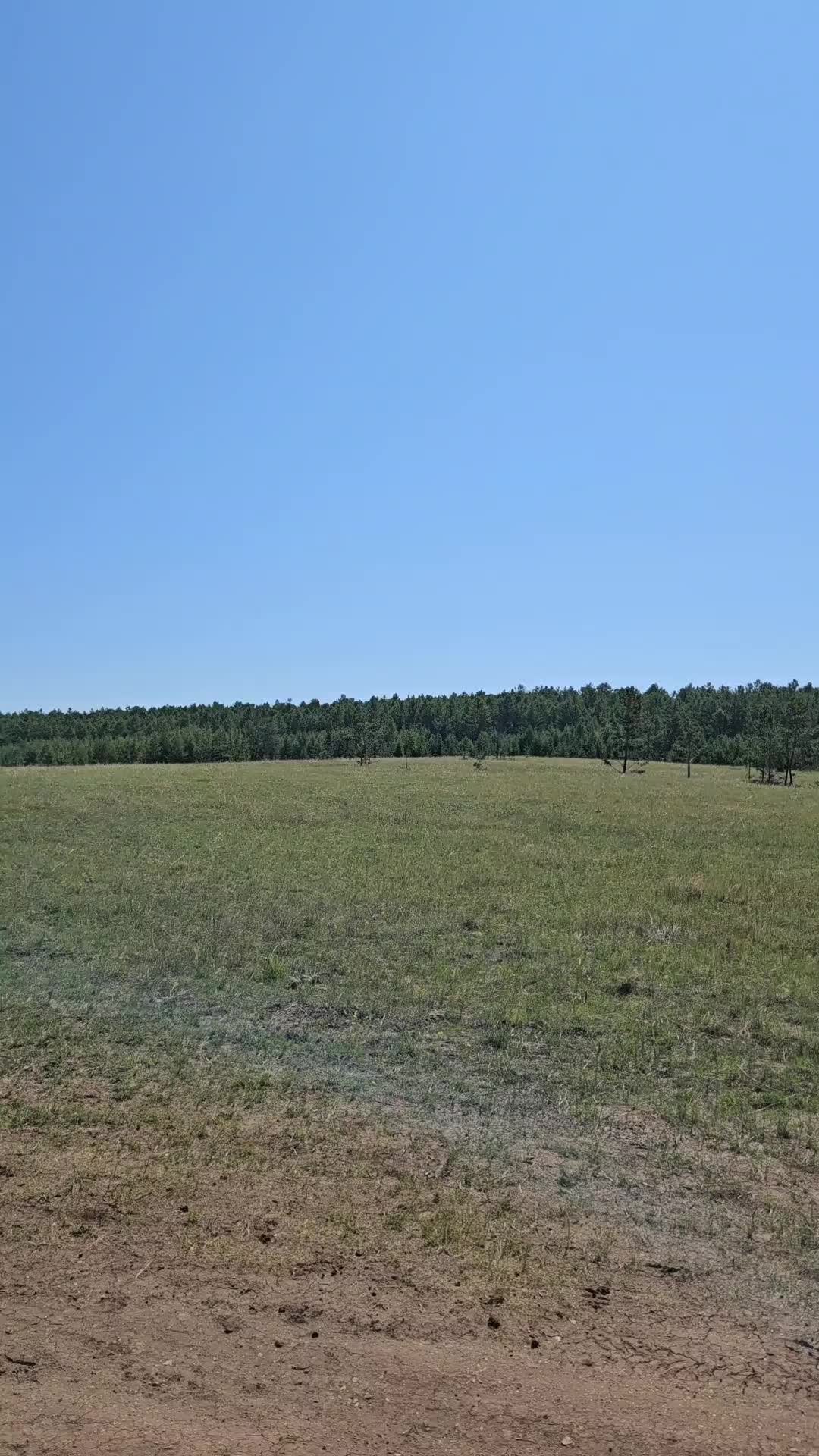 @Полина Свительская