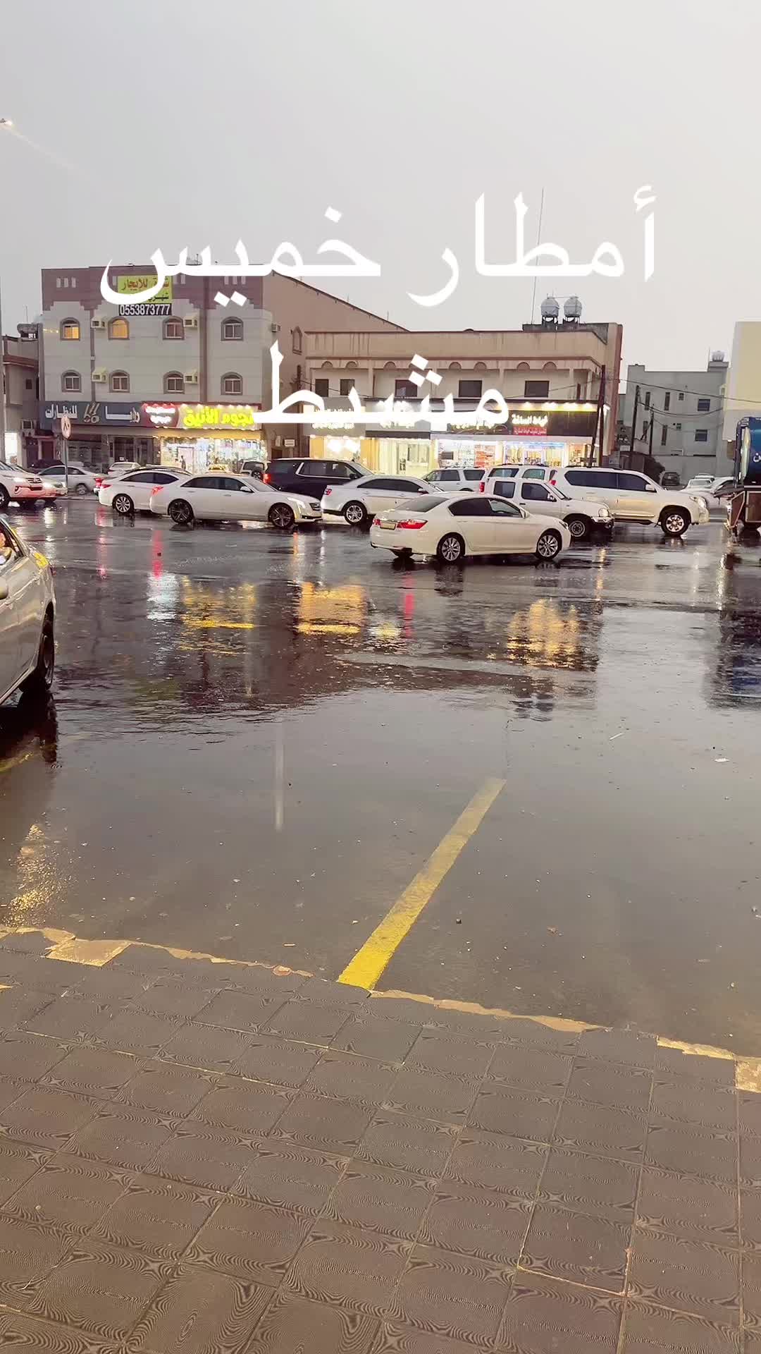 @طارق العمري