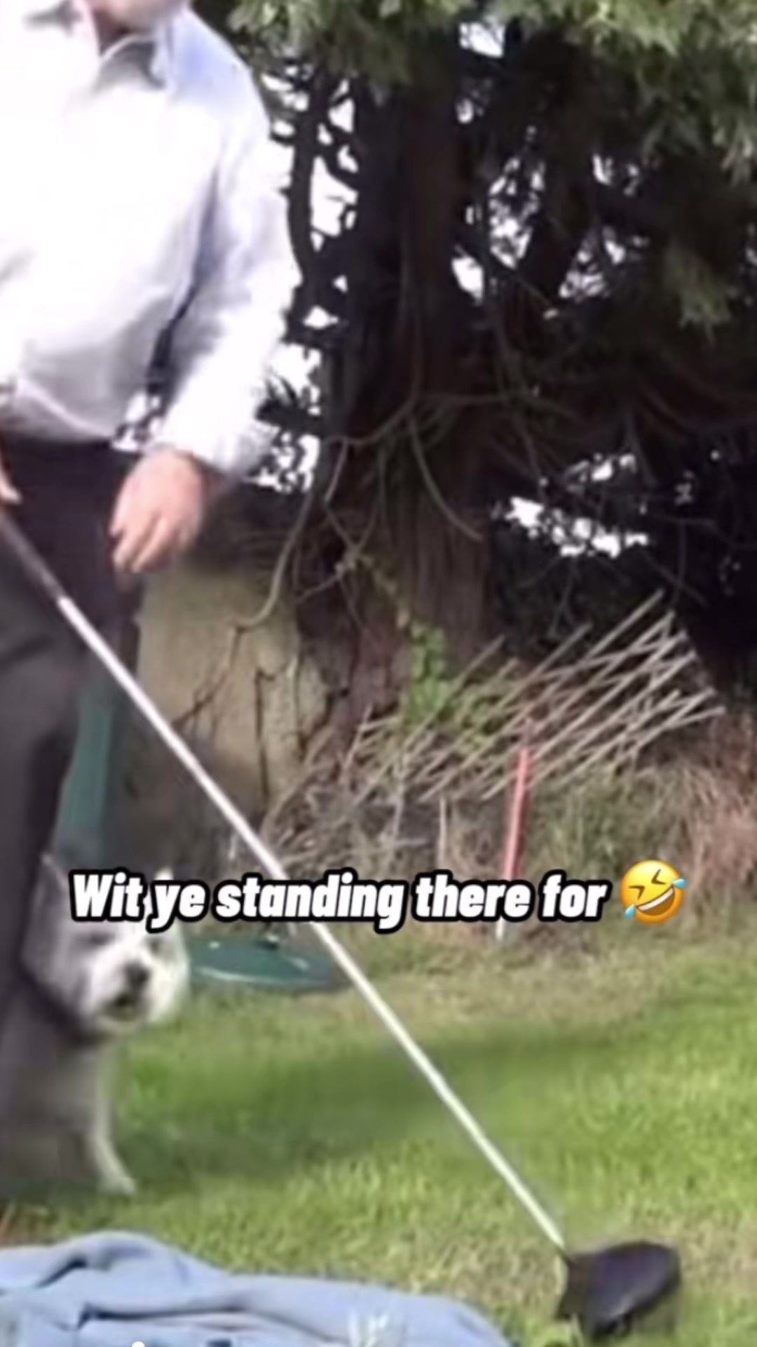@Scottish memes