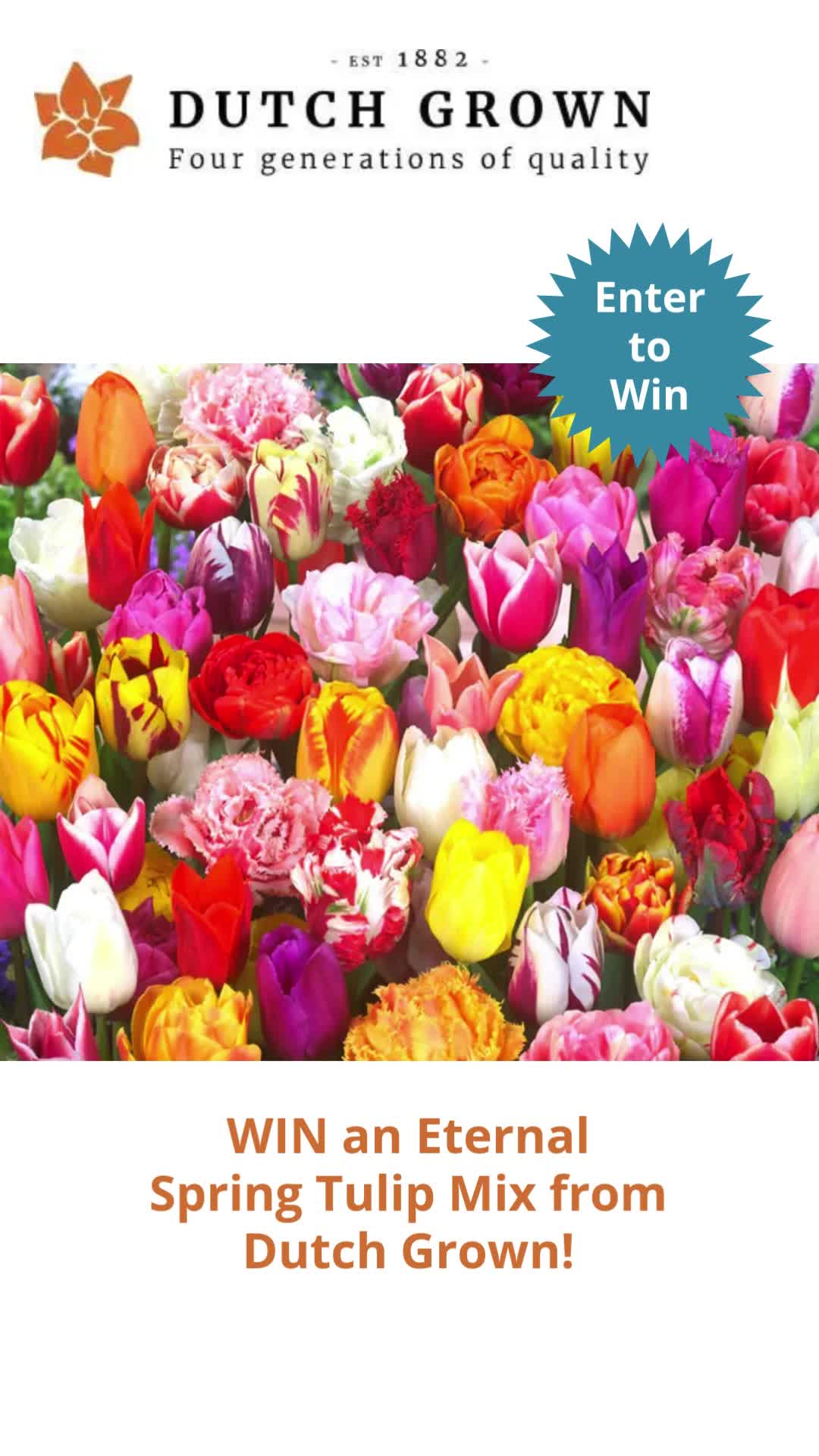 @AllotmentOnline