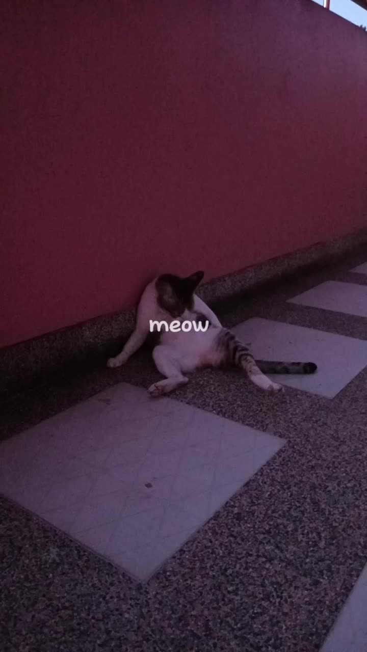 @Noey 👑