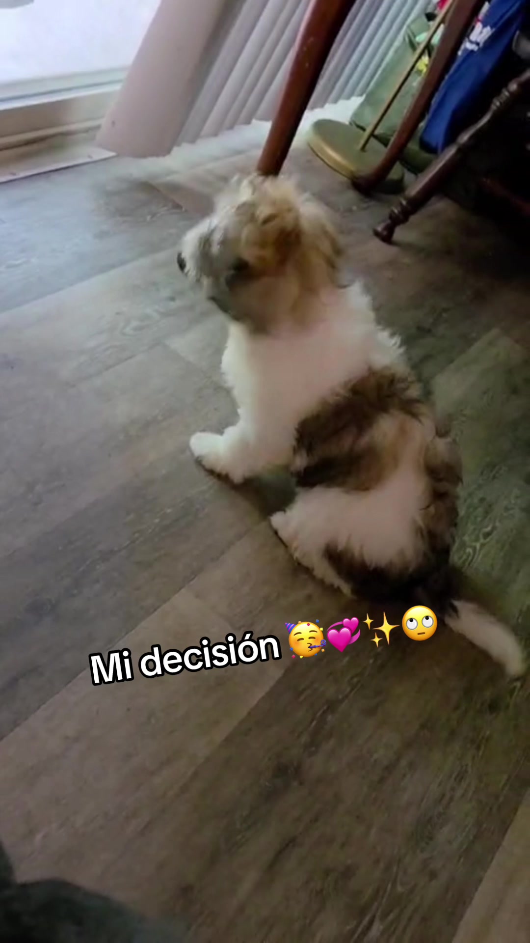 @𝑐𝑜𝑐𝑜