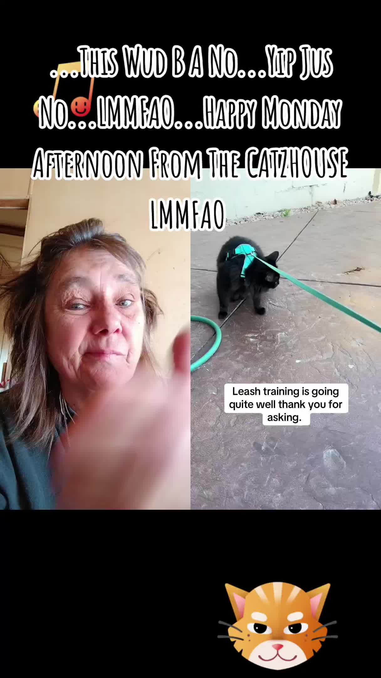 @Booh Hovey crazycatlady3