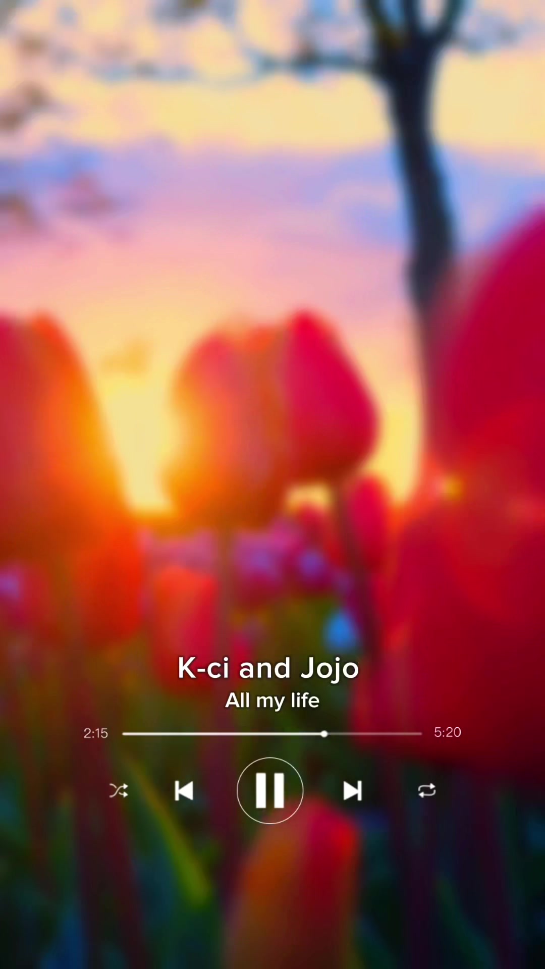 @musiclovemore
